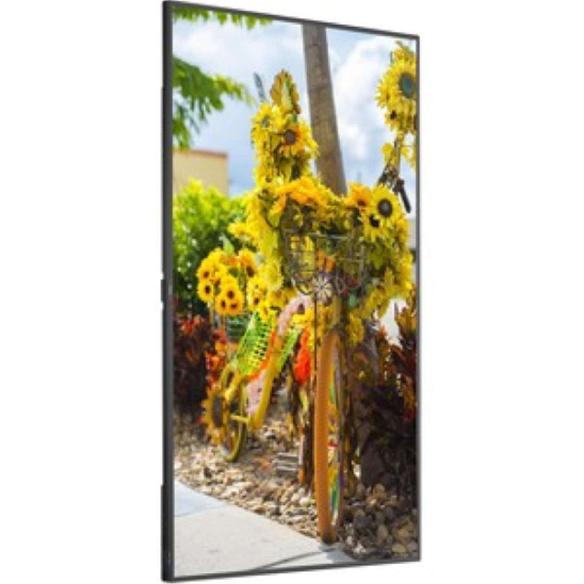 Amazon.com: NEC 55In LCD 1920x1080 C551 HDMI DP (805736063684